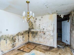 Emergency Water Restoration Chicago Teams Help Now