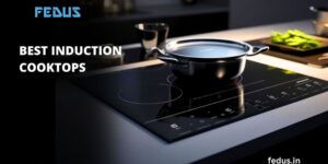 Top Reasons FEDUS Infrared and Induction Stoves Dominate Indian Kitchens