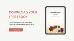 Ebook WordPress Themes: Why They’re Ideal for Authors and Publishers