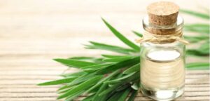 Manufacturers Of Tea Tree Oil Bulk Suppliers & Wholesale Distributors