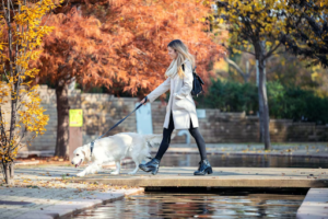 Trusted Names for Your Pup: Top Dog Walking Companies in New Orleans