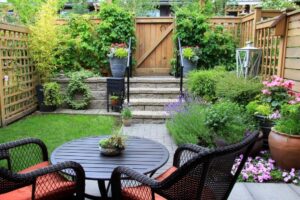 Smart Planting for Privacy: The Best Trees for Screening in Glenview Yards
