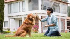 Bridging the Communication Gap: The Role of Dog Trainers in Enhancing Pet-Owner Bond