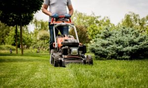 Exploring the Advantageous Features of Masport Chippers in Gardening