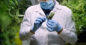 When Should You See a Marijuana Doctor Fort Lauderdale Specialist?