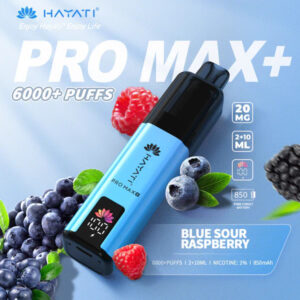6000 Puffs: Because Adulting Means Never Having to Charge Your Vape 
