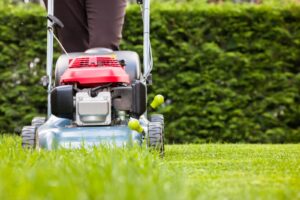 Types of Turf: Which One Is Best for Your Australian Lawn?