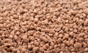 United States Compound Feed Market Growth 2025-2034
