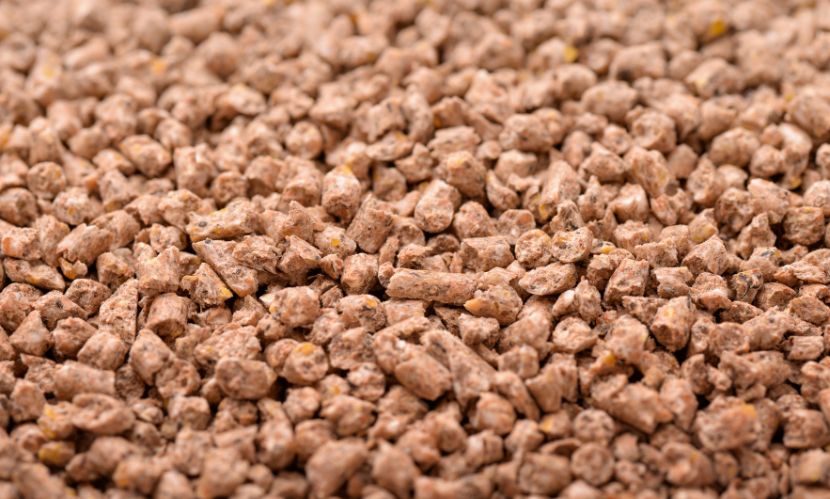 United States Compound Feed Market Growth 2025-2034