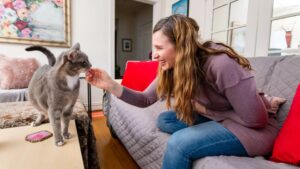 How Can You Find a Trusted Cat Sitter in New York with Gotham City Cat Care?