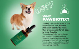 Pawbiotix: The Secret to a Happier, Healthier Dog Starts in the Gut