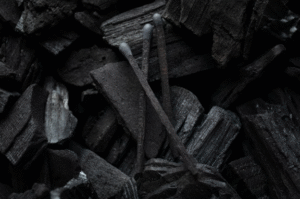 Why Choose Premium Lumpwood Charcoal for Outdoor Grilling