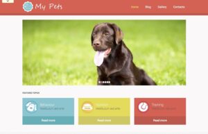 Why Pet Website Design Matters for Growing Your Business