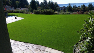 Artificial Grass in Abu Dhabi: The Smart Choice for Water Conservation