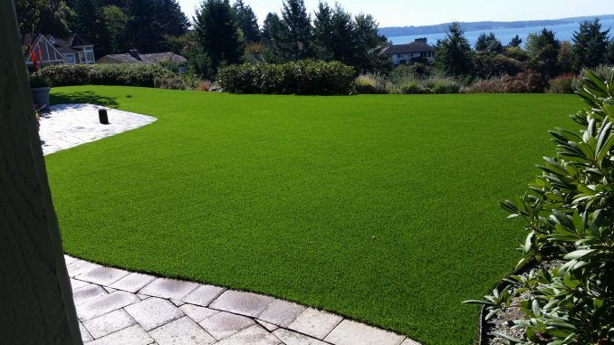 Artificial Grass in Abu Dhabi: The Smart Choice for Water Conservation