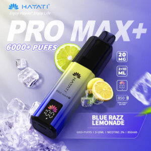 A Deep Dive into the Hayati Pro Max Plus 6000 – Flavor Meets Endurance