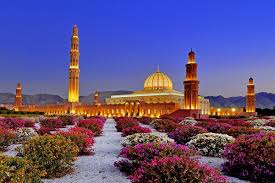 The Growing Importance of Pro Services in Oman for Businesses