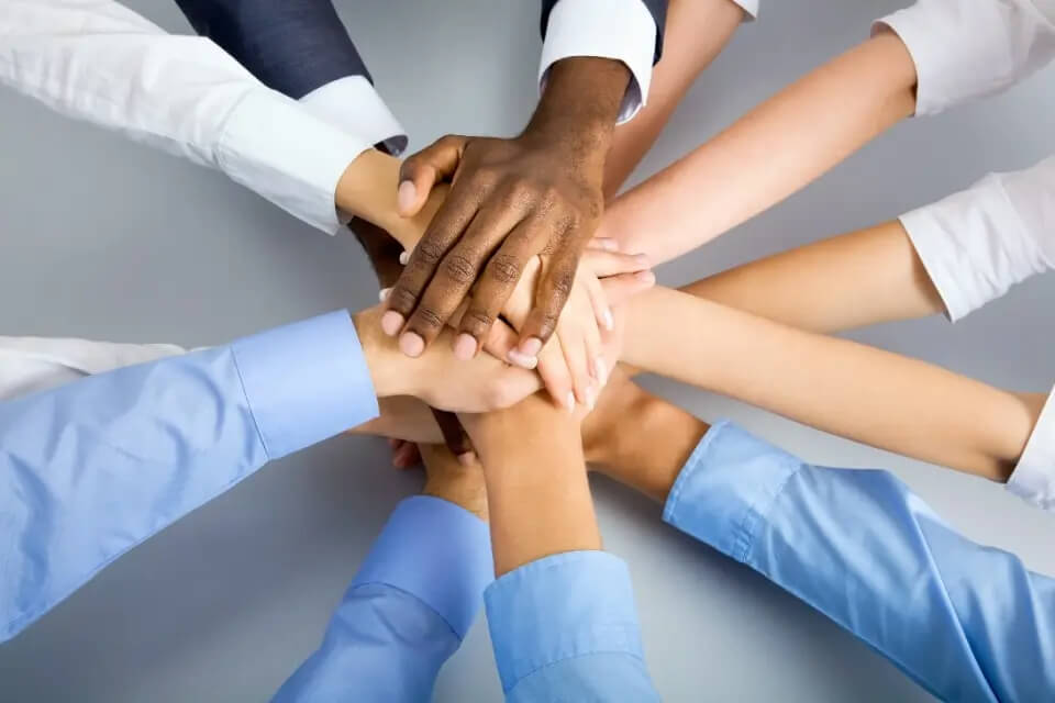 Comprehensive Network Management for Healthcare Excellence