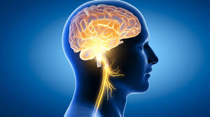 Neuroxen Official Website homepage featuring its premium memory booster tablet and exclusive customer offers