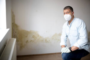 The Role of Mold Testing in Keeping Kansas City Homes Safe and Healthy