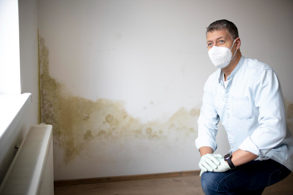 The Role of Mold Testing in Keeping Kansas City Homes Safe and Healthy
