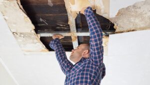 The Importance of a Professional Home Inspection Before Purchasing a Property