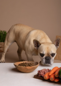 Why Dog Food with Organ Meat and Raw Dog Food Delivery Near Me Matters