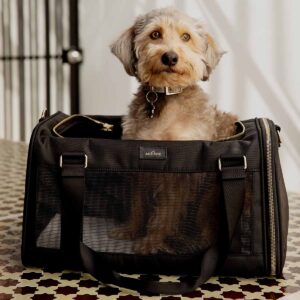 Safe Travels Start Here: Choosing the Perfect dog carrier for dogs for Your Loyal Companion