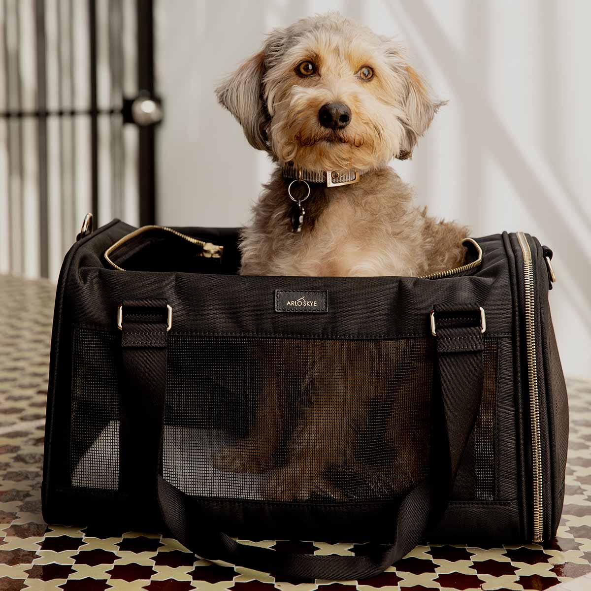 Safe Travels Start Here: Choosing the Perfect dog carrier for dogs for Your Loyal Companion