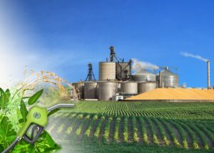 Domestic Heating Oil: The Essential Energy Source for Rural Homes and Farms
