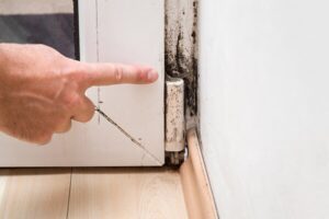 Why Every Home Purchase Demands a Thorough home Inspection?