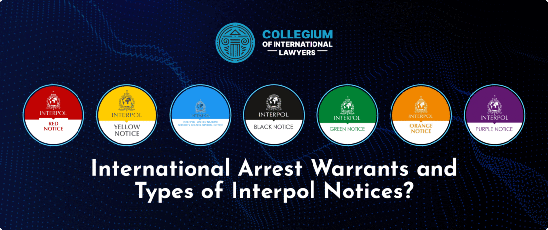 Understanding Legal Protections Against Interpol Errors 360776532 Understanding Legal Protections Against Interpol Errors 360776532