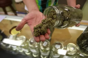 What Should You Expect From Your First Visit to a Dispensary in Massachusetts? 
