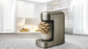 Is Hypha Labs a Good Investment Opportunity? Stock Valuation, Market Trends, and Potential