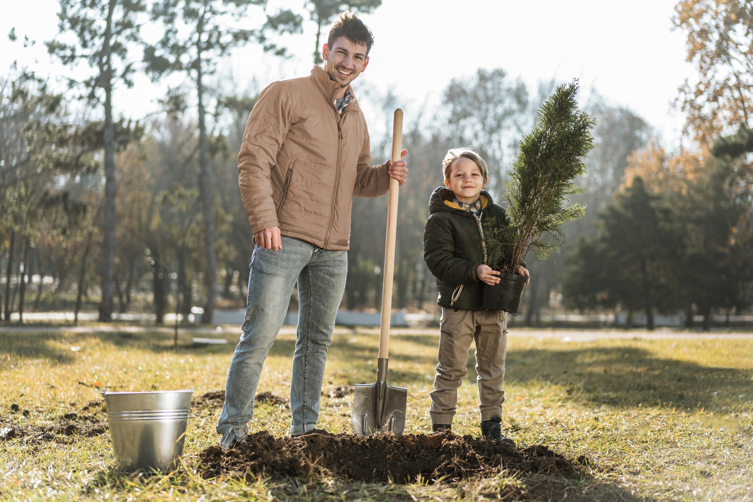 After You Buy Trees in Glenview: How to Plant for Long-Term Success