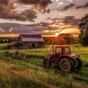 Driving the Sustainable Harvest: The Rise of HVO Fuel Suppliers in the UK