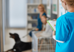 High-Performance Veterinarian PPC Company in the USA
