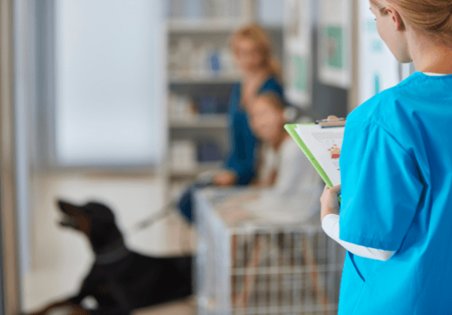 High-Performance Veterinarian PPC Company in the USA